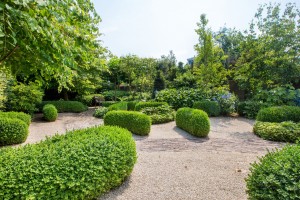Achtertuin wintergroene structuren-privacy-natuurlijk groene glooiingen