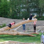 brede-school-nijmegen-buitenruimte-kinderdagopvang-kindvriendelijk-veilig-groen-1