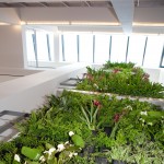 verticale-tuin-lunetzorg-eindhoven-kantoorpand-volledig-beplant-klimplanten-gevelrekken-2