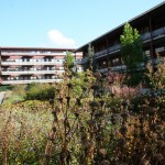 daktuin-bloeiende-bloesem-vasteplanten-appartementencomplex-ouderen-valkenswaard-1