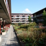 daktuin-bloeiende-bloesem-vasteplanten-appartementencomplex-ouderen-valkenswaard-2