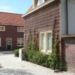 geveltuinen-woonwijk-philipsdorp-brabants-stoepje-gevelgroen-aankleding-biodiversiteit-2