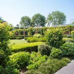 landelijke-tuin-vrijstaande-woning-Bergeijk-elk-seizoen-2