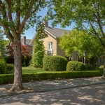 parkachtige-tuin-doorkijken-vrijstaande-woning-moderne-uitstraling-1